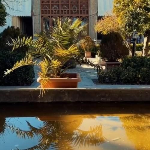 آهنگ بازم یه پیک آوردی واسه من بیبی پ خودت چی 