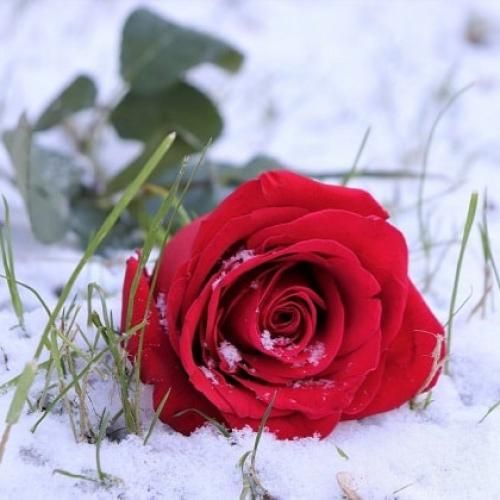 آهنگ تا حالا شنیدی که مرد گریه نمیکنه 