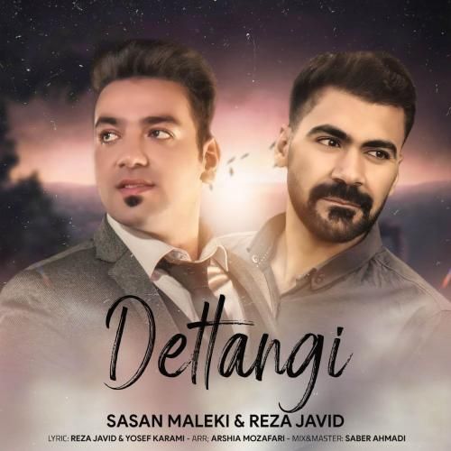 آهنگ دلتنگی ساسان ملکی و رضا جاوید
