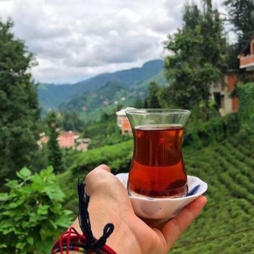 آهنگ تو قلمت هیچوقت قوی نبوده 