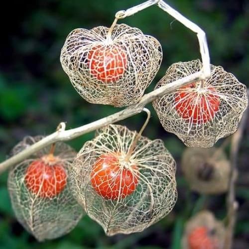 آهنگ میدونم که داغ تو روی دلم نمیمونه اون خدای مهربون ما رو بهم میرسونه 