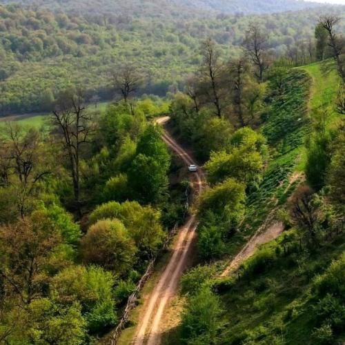 آهنگ من شدم معتاد تنهایی نه کسی میاد دیگه نه من میرم جایی 
