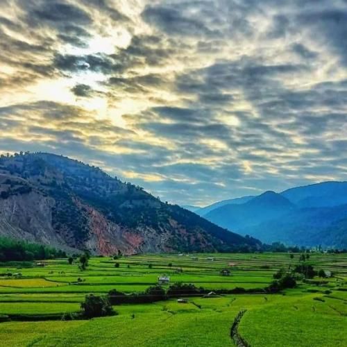 آهنگ کاش تو این شهر غریب صدای آشنا بیاد دل من هواتو کرده 