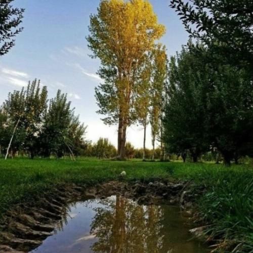 آهنگ وقتی این بار رفتی شدش حسام عجیب میلرزیدی دیدم چشمات 