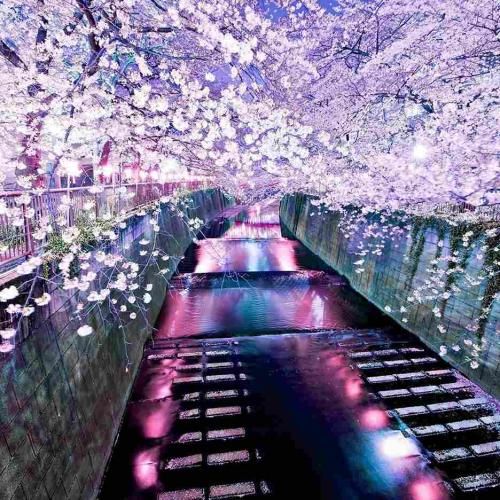 آهنگ اکانتام همه پاک شدن سریع نمیخوام بمونه ازت اثری 
