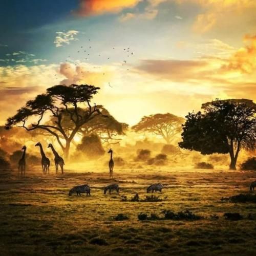 آهنگ ماشالله سوپر مدلن پسرا هم رپر همه انگاری همه 