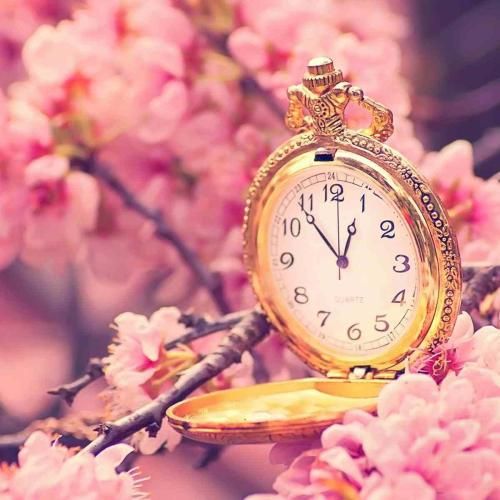 آهنگ نمیبینی هر روز کارت گیره شده حتی میرم 