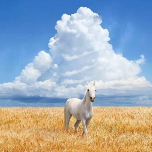 آهنگ چشمای خیس پلکای خسته احساس میکنم با تو 