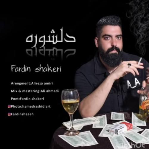 آهنگ دلشوره فردین شاکری