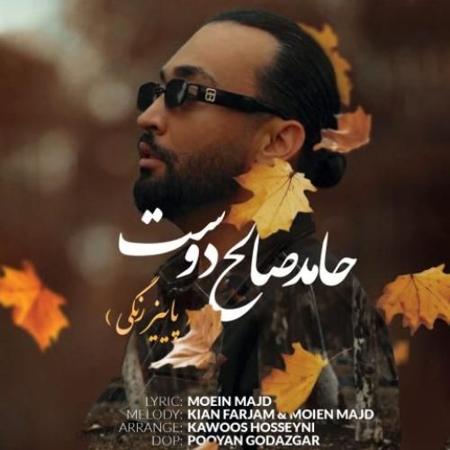 دانلود آهنگ پاییز رنگی حامد صالح دوست