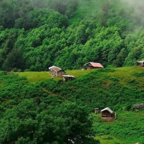 آهنگ نمیخوای پس خودم ساختمش تکی الان که نسخی 