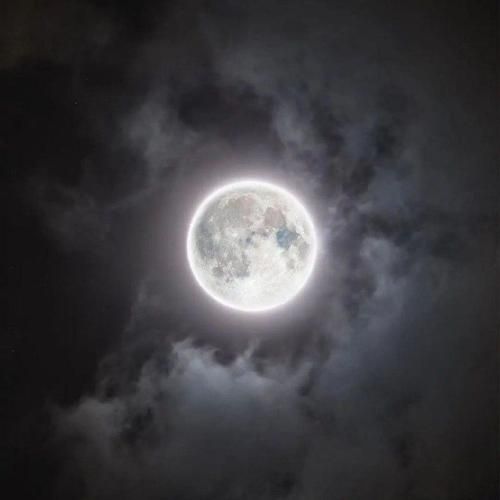 آهنگ  شب هجرون دیگه تمومه گل مهتاب بر سر بومه 
