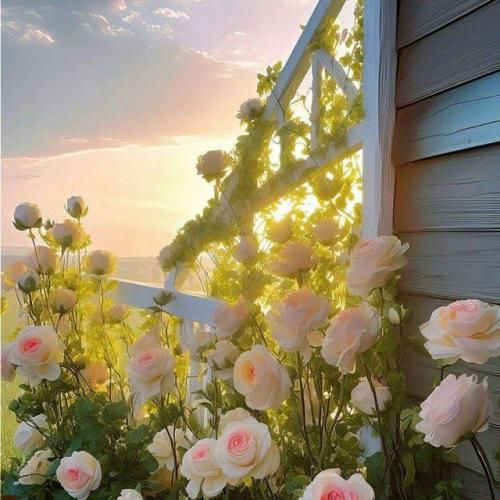 آهنگ یک خنده کن ای گل لب خندانته صدقه 