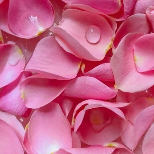 دانلود آهنگ خورد ستین
