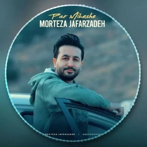 دانلود آهنگ پر میکشه مرتضی جعفرزاده