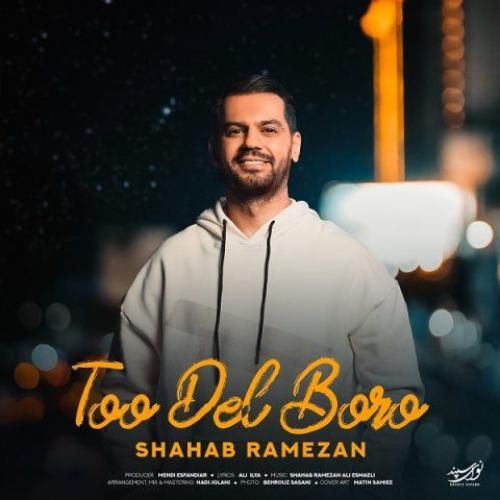 دانلود آهنگ تو دل برو شهاب رمضان