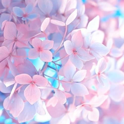 آهنگ اگه دخترارو ببرن خدمت تو پادگان وضع همینه من بعد 