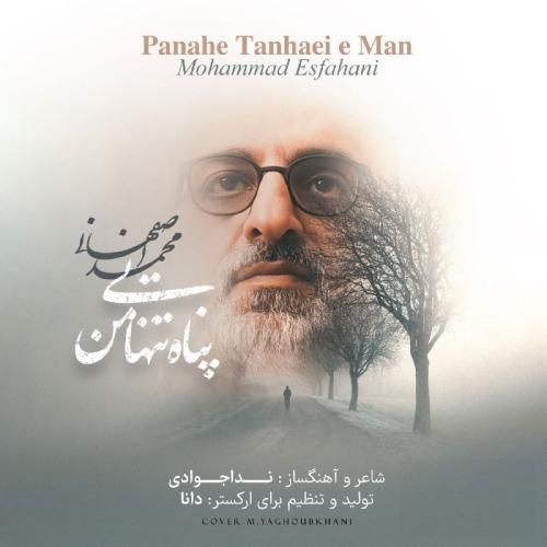 دانلود آهنگ پناه تنهایی من محمد اصفهانی