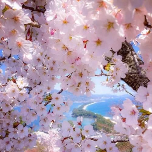 آهنگ بباره سنگ هر طوری بشه کنارتم یکی هست هنوز دیوار تکیه ات 