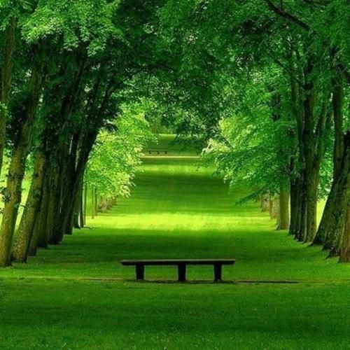 آهنگ چیکار کردی با دلم وای چیکار کردی 