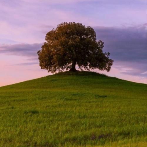 آهنگ من دیگه حوصله عاشقی رو ندارم 