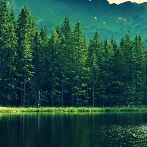 آهنگ تو که نیستی کنار من هوای شهر دلگیره 