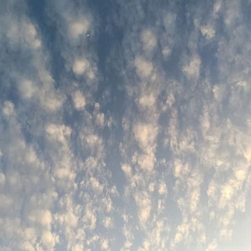 آهنگ با همه لاس میزنم یه زنگ به عباس میزنم 