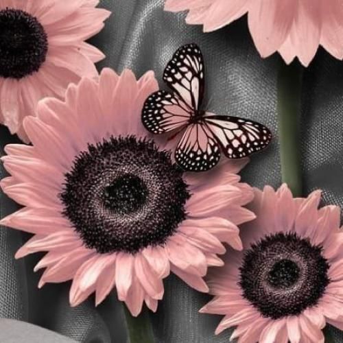 دانلود آهنگ بی عقده کیمی