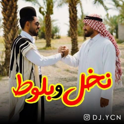 ریمیکس نخل و بلوط دیجی یاسین