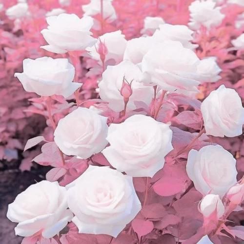 آهنگ برق برق برق اداره برق ای مسئولین ترند اینستا 