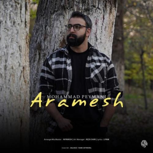 دانلود آهنگ آرامش محمد پیمانی