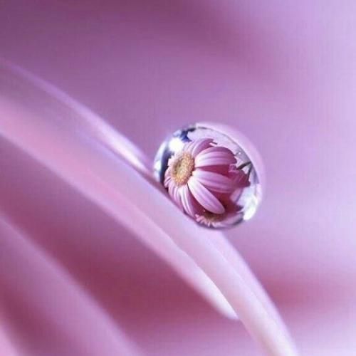 آهنگ واسه ما بزار خندت گل کنه با صدای دختر 