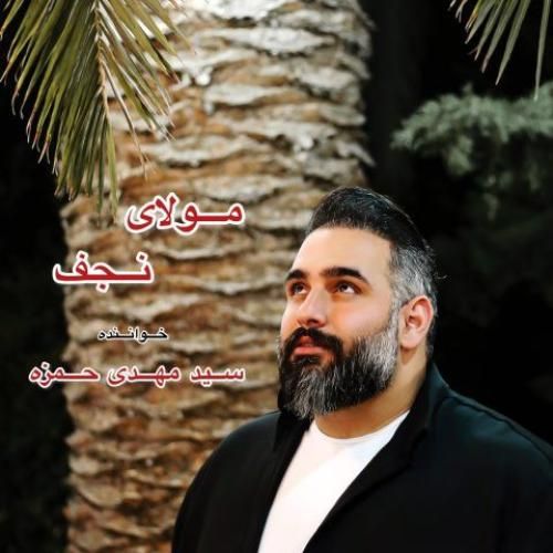 دانلود آهنگ مولای نجف سید مهدی حمزه