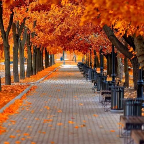 آهنگ تهرونم همین حوالی دنبال نون حلالیم 