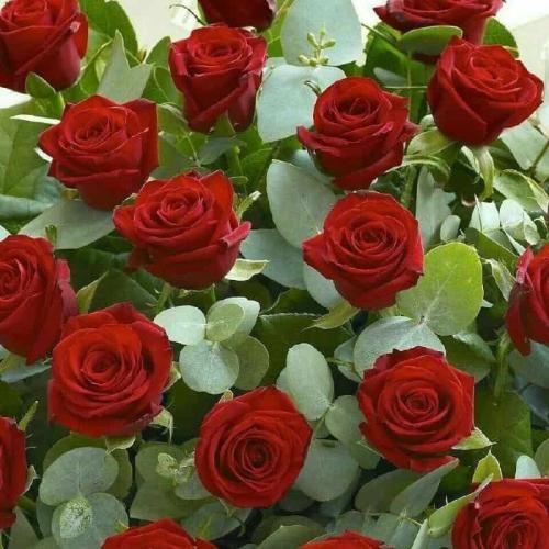 آهنگ تو‌ خیلی گلی و ما سیگاری تو‌ پیپری و ما جاسیگاری 