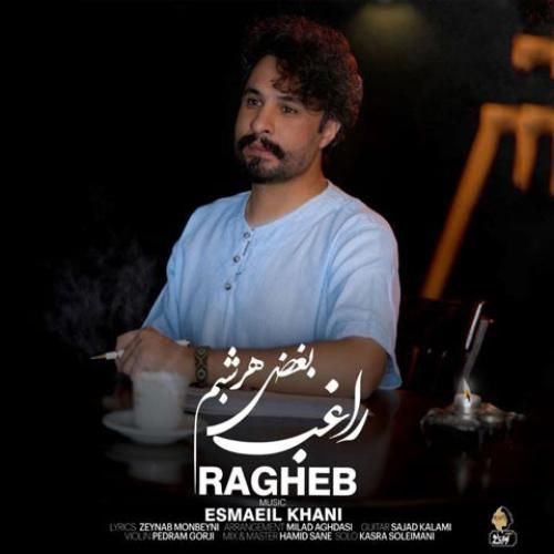 دانلود آهنگ راغب بنام بغض هر شبم