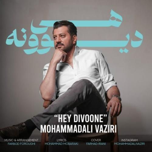 دانلود آهنگ محمد علی وزیری بنام هی دیوونه