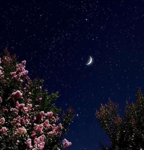 دانلود آهنگ تو فقط برو من میزنم هزینشو