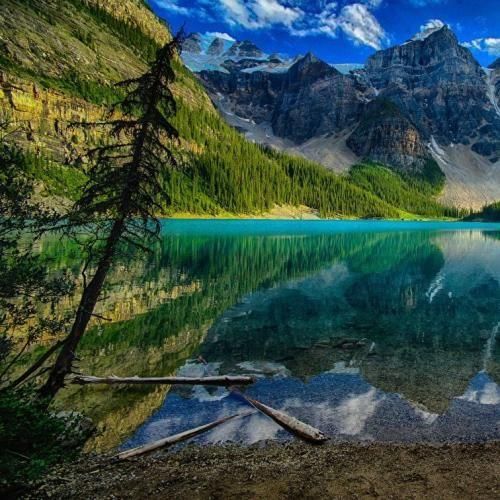 دانلود آهنگ میگم از اینجا به بعد تنگ میشه دلت واسه کی