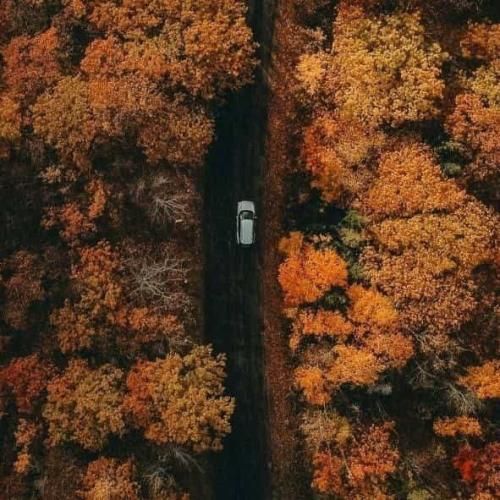 آهنگ ای دروغگو میگی خونه خوابم پیش مامانم اینا 