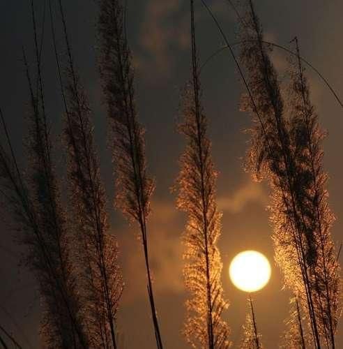 دانلود آهنگ همه زندگیمو یه روز کتابش میکنم