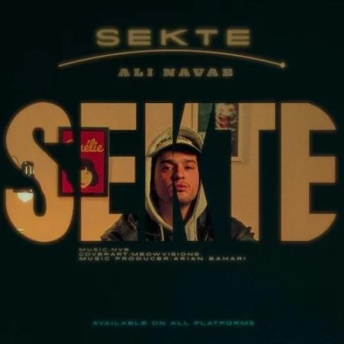 دانلود آهنگ علی نواب بنام سکته