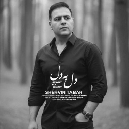 دانلود آهنگ شروین تبار بنام دل به دل