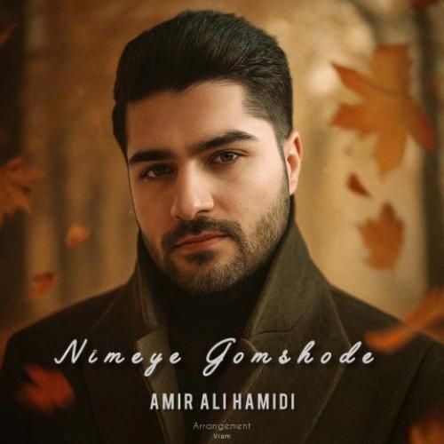 دانلود آهنگ امیر علی حمیدی بنام نیمه ی گمشده