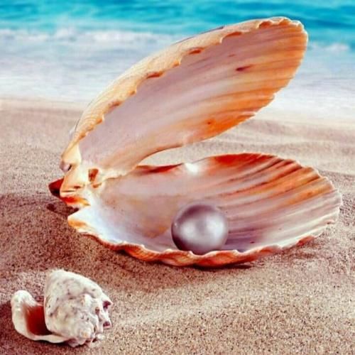 دانلود آهنگ سما خان بنام از پسری خوشم‌ میاد صاحب دین و ایمانه