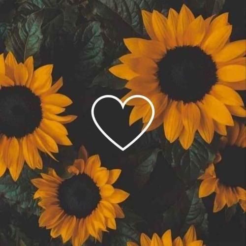 دانلود ریمیکس یادته گفتی پیشمی تا ته تهش چجوری میخوابی