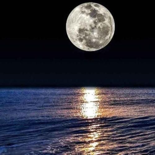 دانلود آهنگ هنوز تا یه بارون میاد هوش مصنوعی