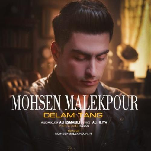 دانلود آهنگ محسن ملک پور بنام دلم تنگ