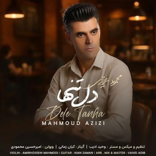 دانلود آهنگ محمود عزیزی بنام دل تنها