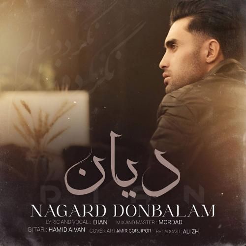 دانلود آهنگ دیان بنام نگرد دنبالم